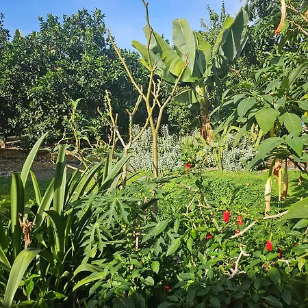 Vakantiehuis Casa Erika Hermigua